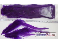 Перья петуха фиолетовые